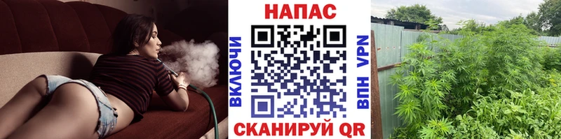 Купить закладку COCAIN Марихуана МЕФ Псилоцибиновые грибы ГАШ Карабаново