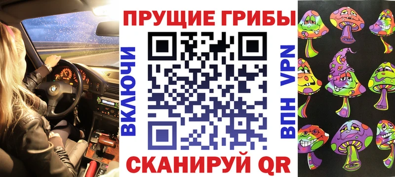 Псилоцибиновые грибы Psilocybe Купить где Карабаново